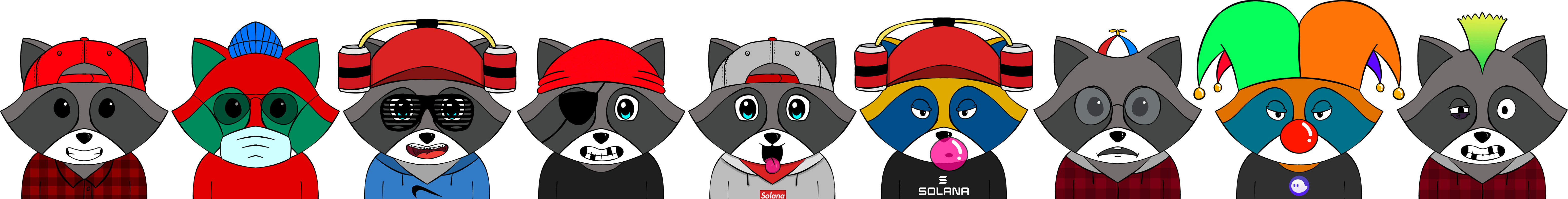 Examples of Saccoons