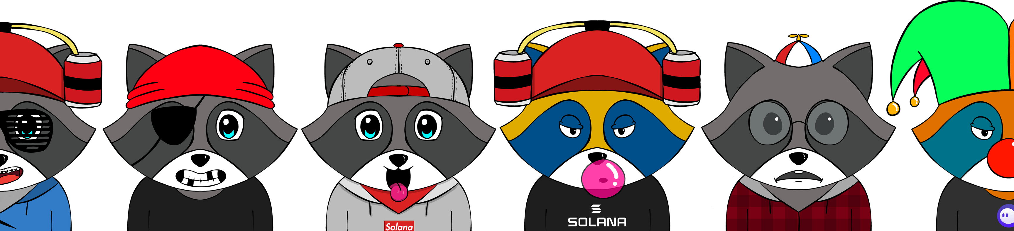 Examples of Saccoons